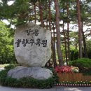 솔향수목원(암석원) 이미지