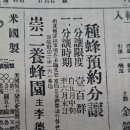 1920년 한국 최초의 동아일보 서울 숭이양봉원 종봉 분양 광고 이미지
