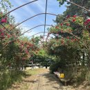 문장로-4 이미지