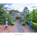 동권농장 이미지