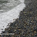 자갈마당 이미지