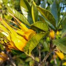 비블리아성서식물원 이미지