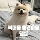 댕실 댕실 이미지