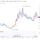 에스티팜(주) 이미지