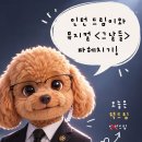 dreamz_log 인스타그램 이미지