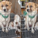 보승공업사 이미지