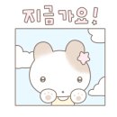 디자인맑음 이미지