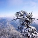 태백산 눈축제’[2025년 1월 23일(음:12월 24일) 일출 07시:43분.일몰17시 44분] 이미지