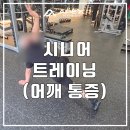 에이펙스컨설팅 | 시니어 트레이닝 [구파발 헬스장 에이펙스 피트니스] 어깨 통증(오십견)