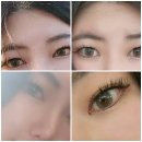 수룸 | 최애 속눈썹연장 수룸뷰티