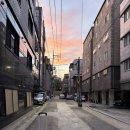 히카리일본어아카데미 | [12th-해외여행] 2025. 07. 13. - 16. 온점 "."을 반점 ","과 "우리"의 추억으로