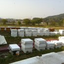 풍촌농장 이미지