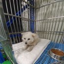 용산동사무소 이미지