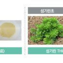(주)협동식품 - 남양주시 | (주)협동식품