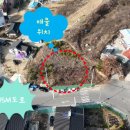 선산대로-2 네이버블로그