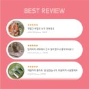 몽몽드림 | [베스트 리뷰] 몽몽드림 베스트 리뷰 소개 🌟