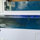 GS25 인천논현역 이미지