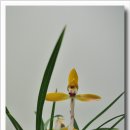 전라북도청 대강당 이미지