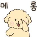 개구쟁이 애견 이미지