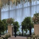 용산-178 | 세렌스냅 용산 삼각지 웨딩홀 로얄파크컨벤션 파크홀 아이폰스냅 본식후기