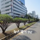 3.15대로 이미지