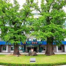 F & G 스포츠센터 이미지