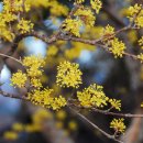 지리산털보농원 이미지