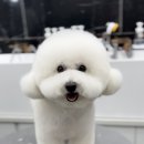 우프루프 이미지