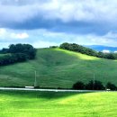 한우목장 이미지