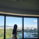 GS25 부곡올림픽점 | 여름 서울 호텔 패키지 추천 잠실 호텔 올림픽공원 서울올림픽파크텔
