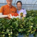 가조농장 이미지