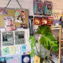 옥소리노래연습장 이미지