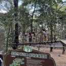 숲이랑아이랑유치원 | 대구/경산 주말 아이랑 가볼만한곳 ‘성암산우리들숲체험원’ 숲에서 배우는 용기와 힐링