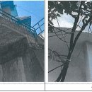 보라매동-14 이미지