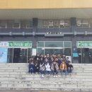 금성스타랜드 Daum카페