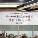 안심부부한의원 이미지