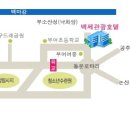 백제결혼정보
