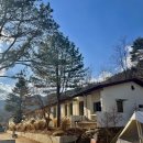 축제코스 이미지