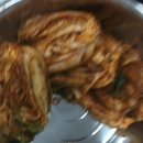 도영이네