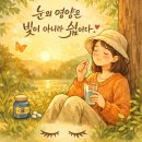 비전헬스케어(주) | 루노비전. 눈 영양제에 대한 묵상.. 루테인과 루노비전 핵심 차이 .