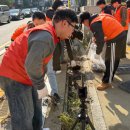월평축사 이미지
