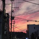 바를정공인중개사사무소 이미지