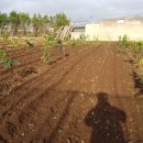 월림농장 이미지