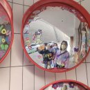 서안농장 | 2025 무비자기념 중국여행 (시안=서안=장안) 2일차