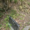 달성보 녹색길 이미지