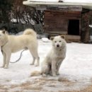 닥터 홍 동물병원 이미지