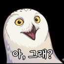 비비마트 | 푸꾸옥 슈슈땅콩의 배신? 킹콩마트보다 비비마트가 저렴했던 후기😱 (가격 까먹음 주의)