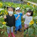 순성어린이집 이미지