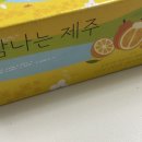 명품한라봉 | 고당도 제주 한라봉 솔직 후기 귤스데이 가성비 과일 추천