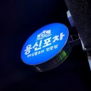 용신14 | 속초포장마차 동명항 포차거리 핫플 용신포차 후기